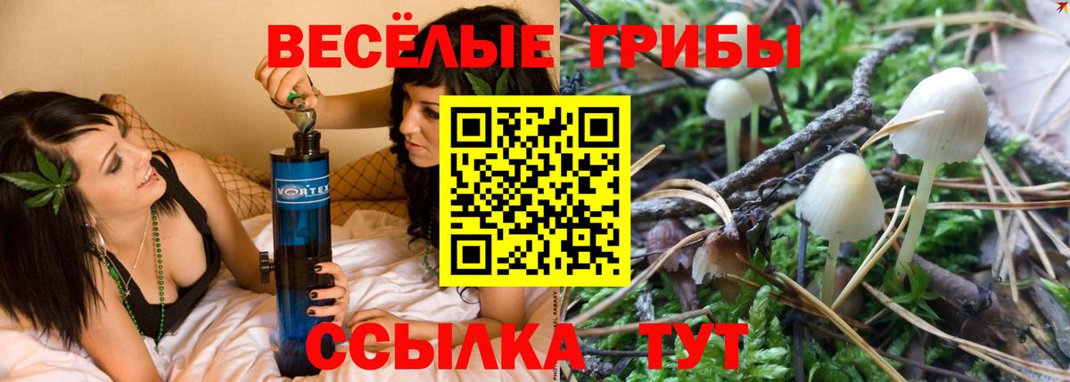 Псилоцибиновые грибы ЛСД  Вход с VPN  Псилоцибиновые грибы Psilocybe  Мончегорск 