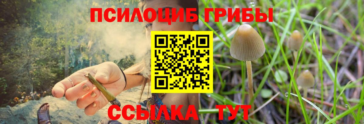 Псилоцибиновые грибы MAGIC MUSHROOMS Мончегорск
